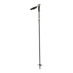 Black Diamond Black Diamond Compactor Ski Poles BD111579 Retur Lofoten 1