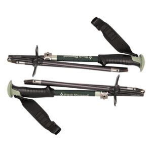 Black Diamond Black Diamond Compactor Ski Poles BD111579 Retur Lofoten 2