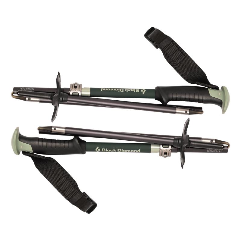 Black Diamond Black Diamond Compactor Ski Poles BD111579 Retur Lofoten 2