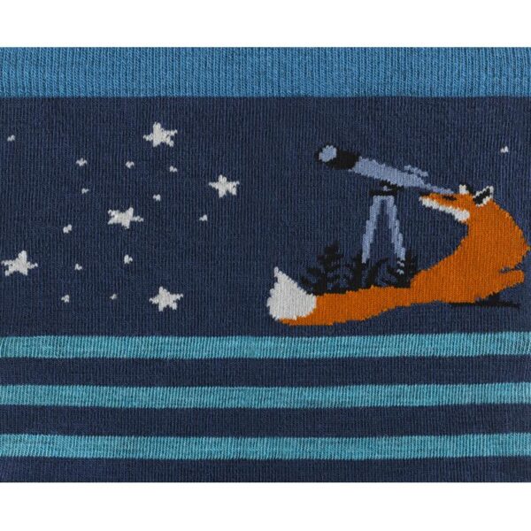 Darn Tough Animal Haus Lightweight DT6037 Retur Lofoten 6