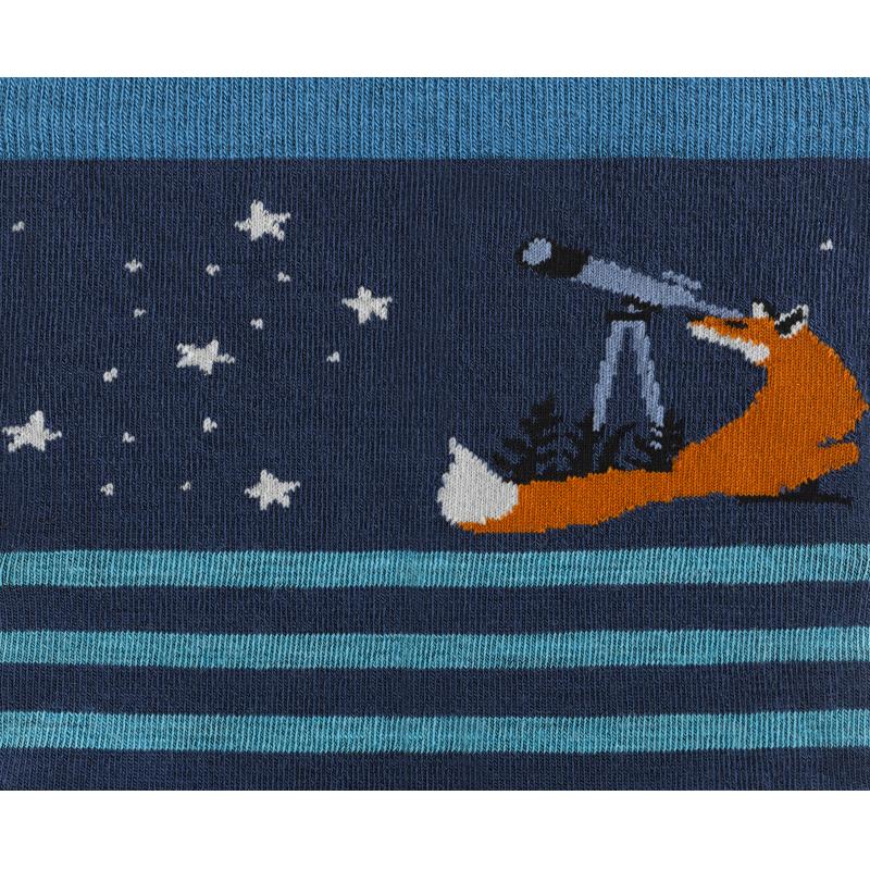 Darn Tough Animal Haus Lightweight DT6037 Retur Lofoten 6