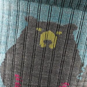 Darn Tough Bear Town Micro Crew Light Cushion - (71° Nord) DT1970 Retur Lofoten 4