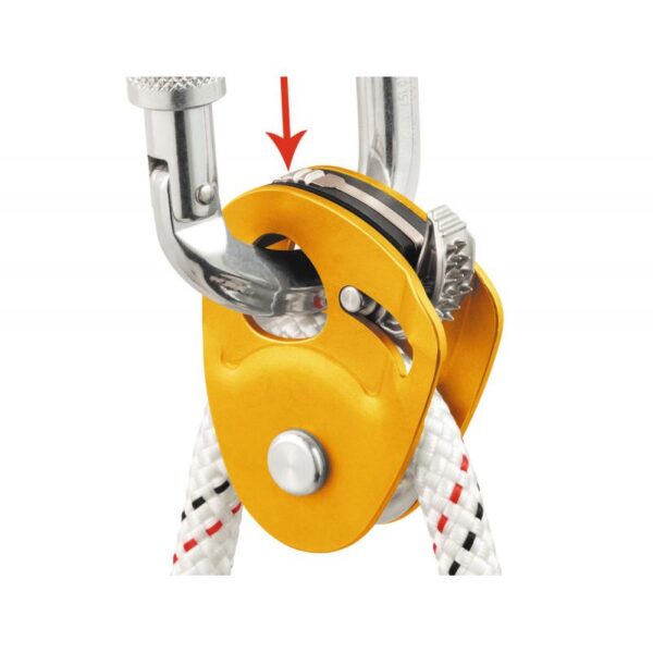 Petzl Micro Traxion