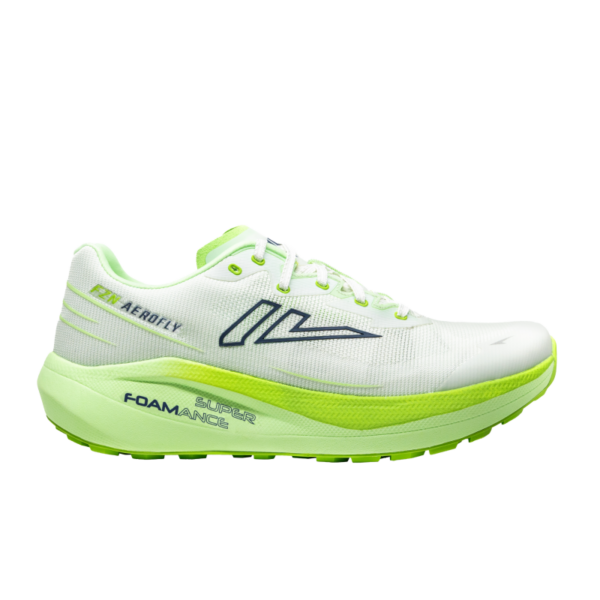 VJ Sarva VJ Fuzion Aerofly 4038 Retur Lofoten 1