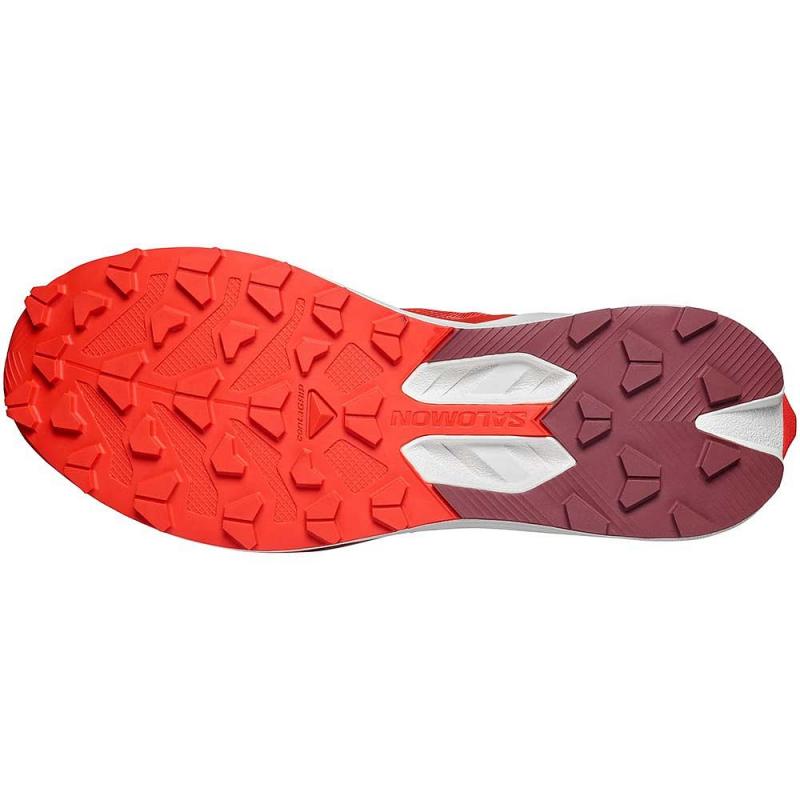 Salomon S/Lab Pulsar 4 - Bilde 4