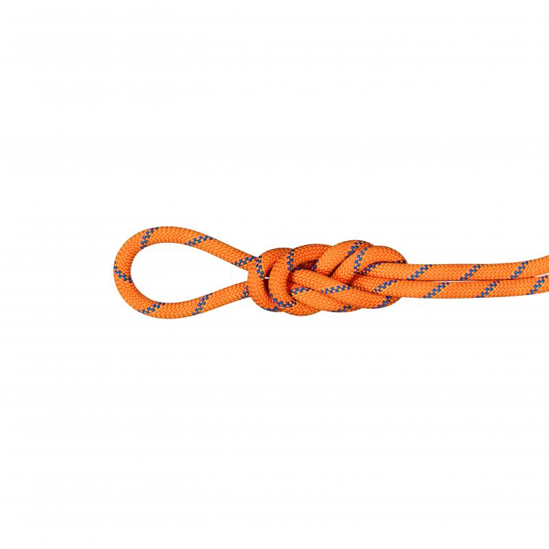 Mammut Mammut 9.0 Alpine Sender Dry Rope 2010-04200 Retur Lofoten 1
