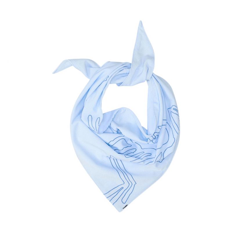 Arc'teryx Arc'teryx Sinsolo Bandana