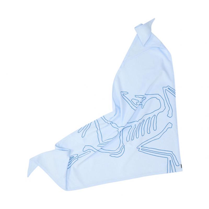 Arc'teryx Arc'teryx Sinsolo Bandana