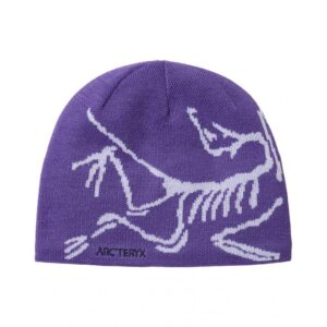 Arc'teryx Bird Head Toque - Bilde 1