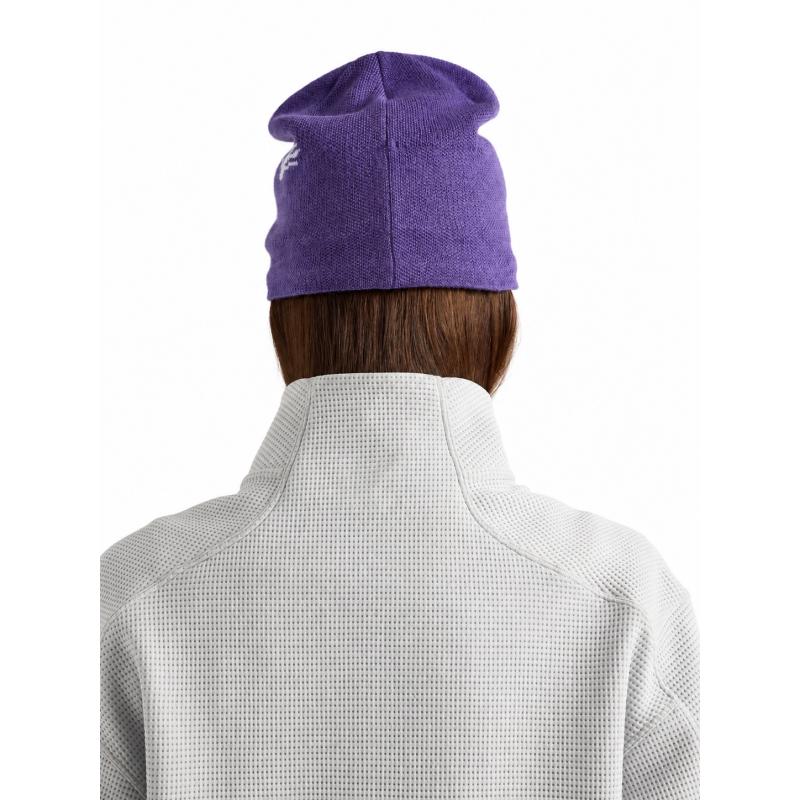 Arc'teryx Bird Head Toque